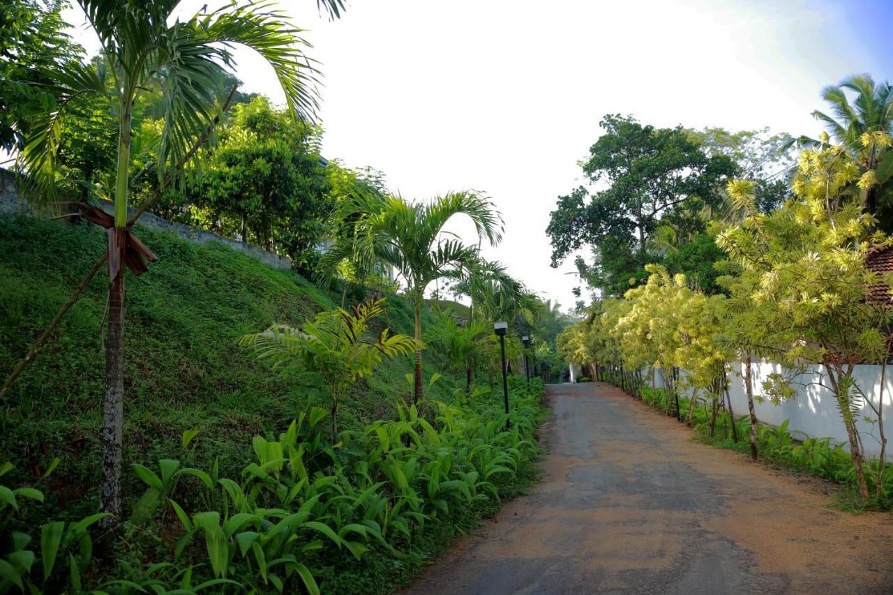 Hill View Resort Nakandalagoda Exterior photo