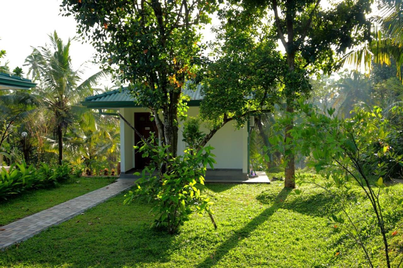 Hill View Resort Nakandalagoda Exterior photo